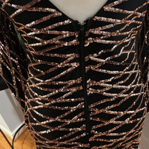 Windsor evening dress.Large - Picture 4 of 6